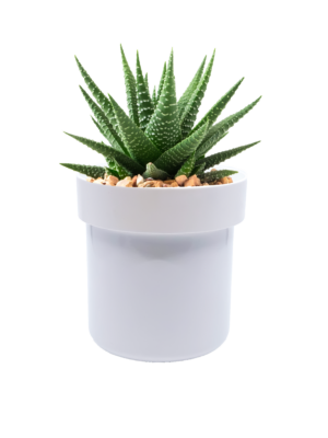 Secret Safe ™ | Flower Pot With Key Lock - Image 6