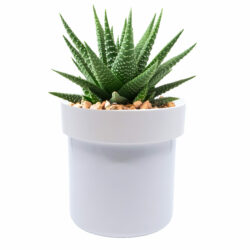 Secret Safe ™ | Flower Pot With Key Lock - Image 5