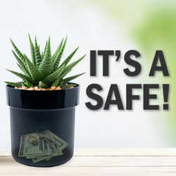 Secret Safe ™ | Flower Pot With Key Lock - Image 29