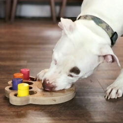 Brainiac Busy Paw™ Interactive Pet Toy - Image 7