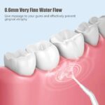 Bene Fresh And White  Rechargeable Water Flosser With 4 Attachment Heads - Image 7