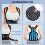 Bene Posture Correcting Belt - Image 16