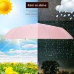 Seamless Outdoors Brella-Lite Umbrella & Light Combo - Image 17